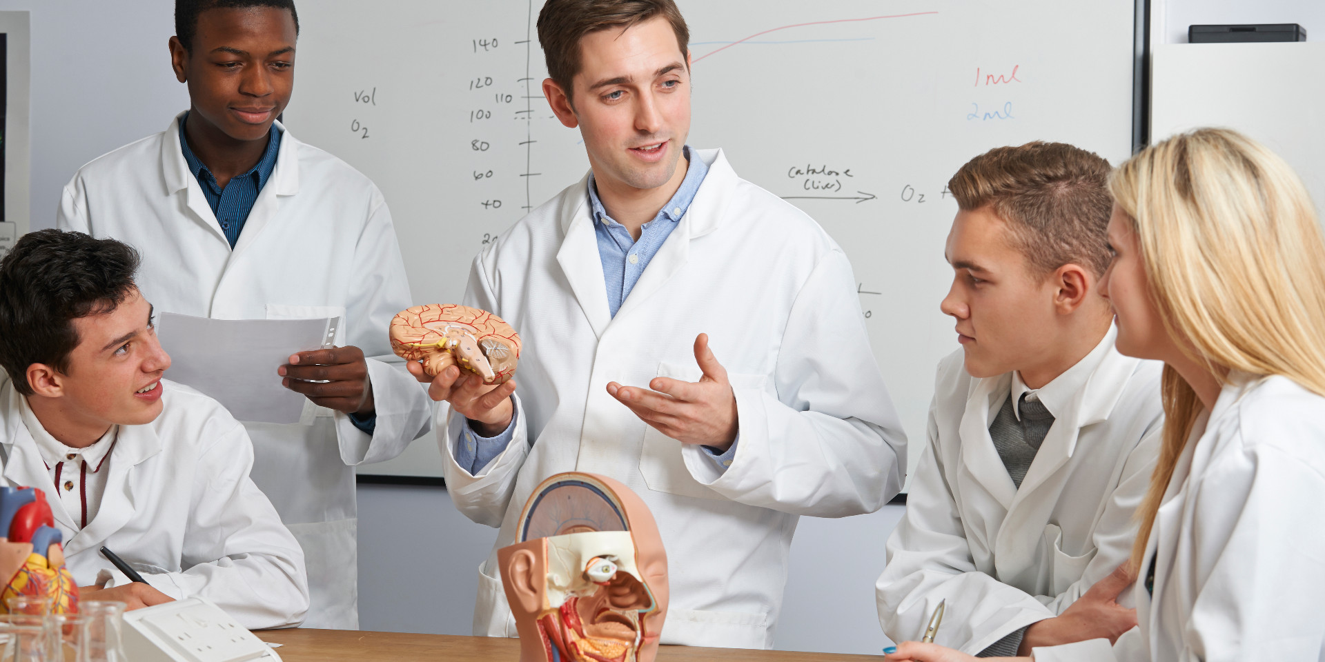 Premed Postbacc Pros Cons